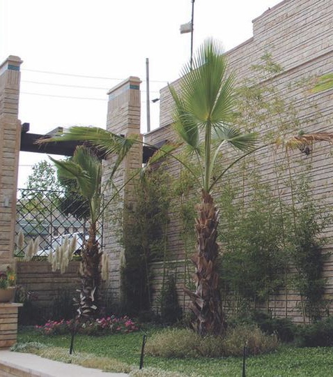 خريد آپارتمان ٣٥٠ متري ٤ خواب فول امكانات لوكس در دركه