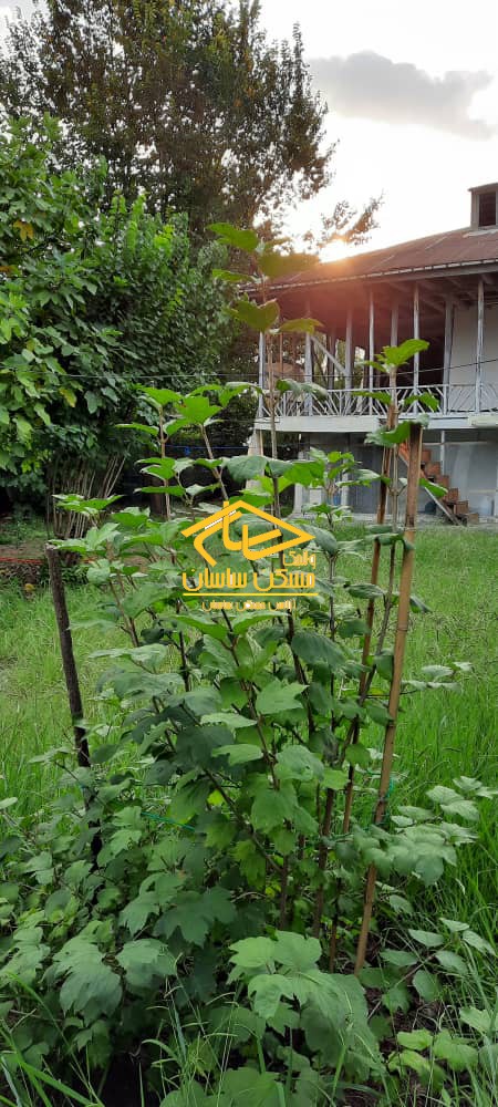 خريد ويلا در گيلان ٧٠٠ متر زمين با بناي دوطبقه در روستاي خرطوم