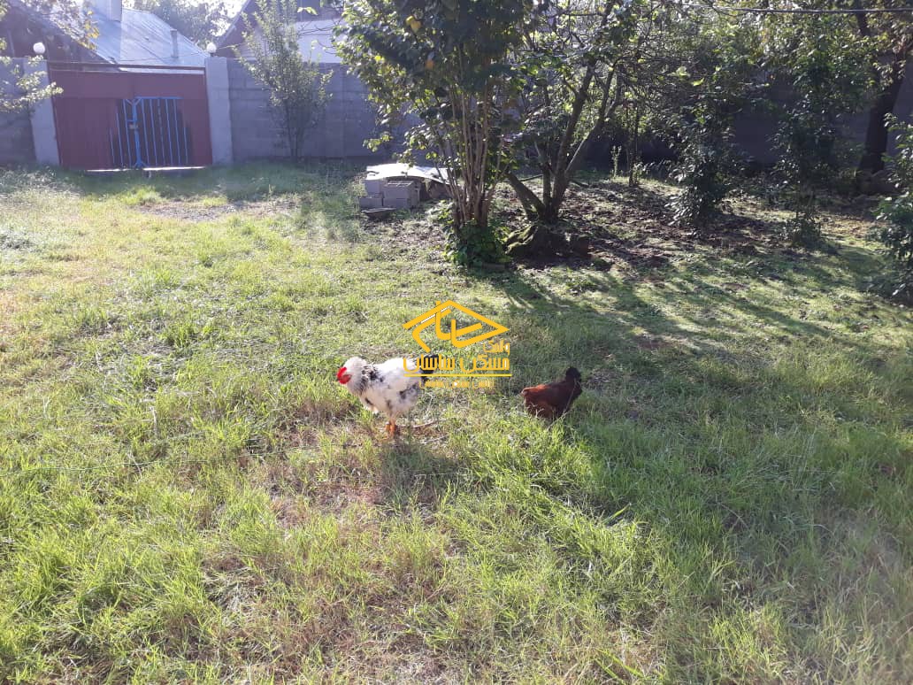 خريد ويلا در گيلان ٧٠٠ متر زمين با بناي دوطبقه در روستاي خرطوم