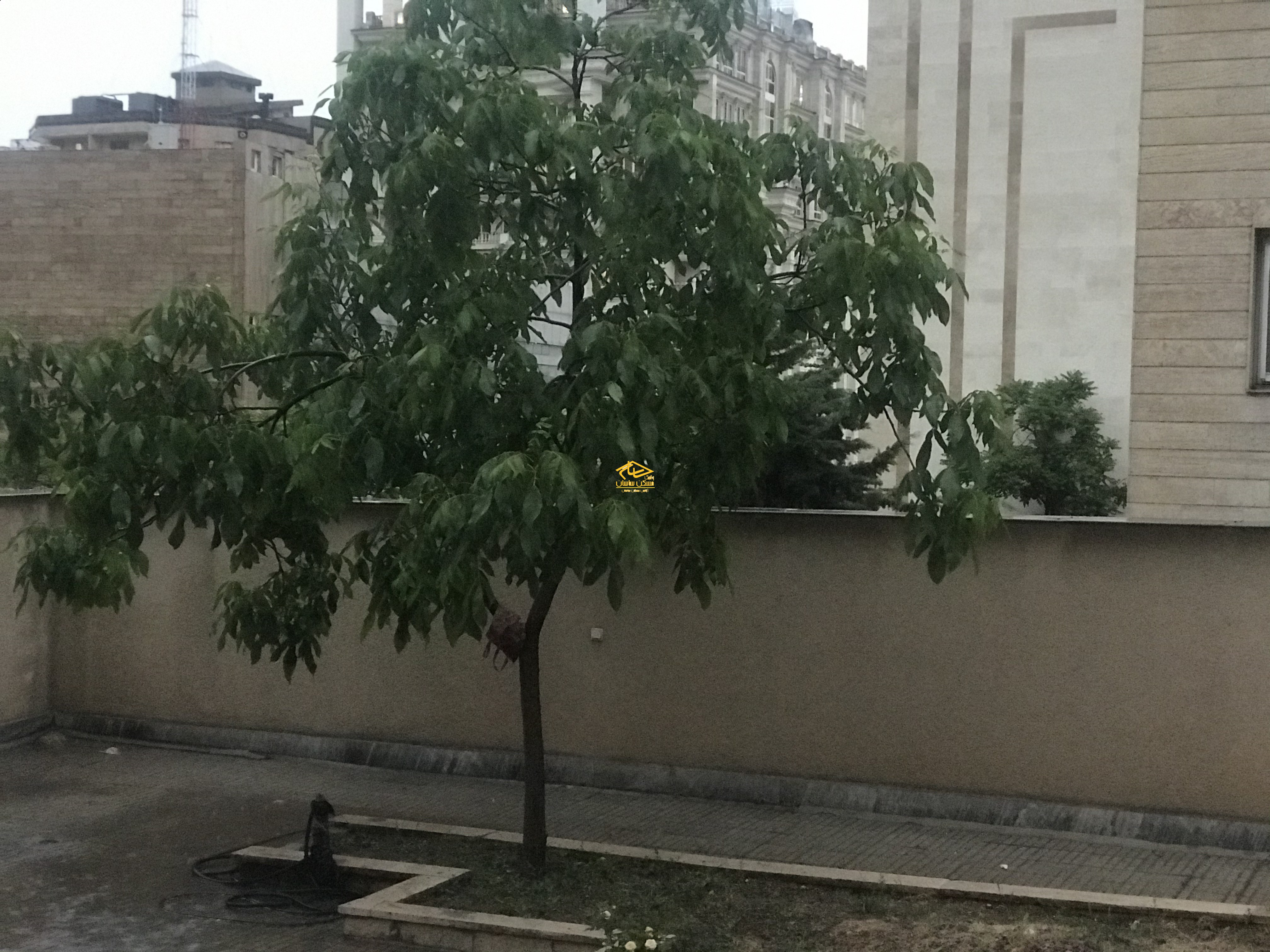 فروش كلنگي در فرشته ٨٠٠ متر با بر ٢٠ متر