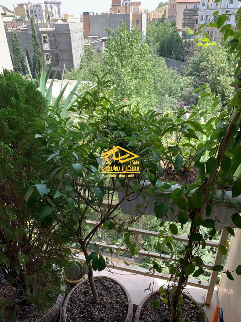 خريد آپارتمان در دركه ٩٨ متر ٢ خواب خوش نقشه بسيار تميز طبقات بالا ويو بي نظير در خيابان احمدپور