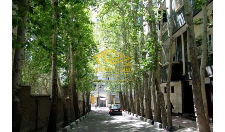 کلنگی بدون اصلاحی