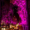 سرقفلی و ملکیت
