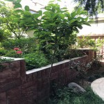 خريد آپارتمان 185 متري ويو مشجر در فرشته