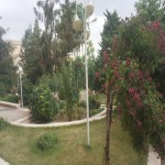 اجاره آپارتمان ١٢١ متري ٢ خواب ويو بي نظير در ساختمان شقايق ولنجك