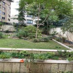 خريد آپارتمان در محموديه ٦٠ متر ١ خواب بازسازي شده شيك  ويو مشجر