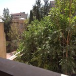 خريد آپارتمان در ولنجك 127 متر ٣ خواب خوش نقشه ويو مشجر قدرالسهم دار