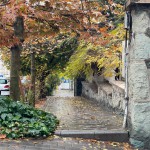 خريد كلنگي در ولنجك ١٠٧٧ متر با بر ابعاد عالي مناسب سرمايه گذاري و ساخت  در خيابان پانزدهم