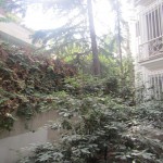 اجاره آپارتمان در ولنجك ٢٦٠ متر ٤ خواب خوش نقشه بازسازي شده ٢ پاركينگ فرعي دنج زير سيزدهم