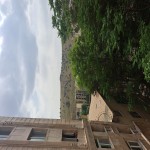 اجاره ۲ خواب در زعفرانیه