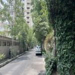 کلنگی محمودیه