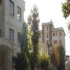 دید عالی