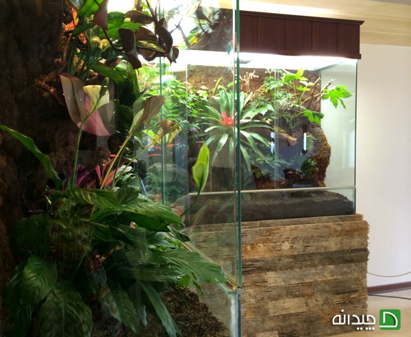 فرشته - الهیه